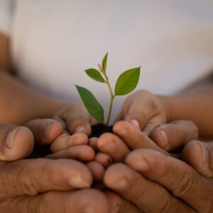 Mission to Manuscript: Turning Purpose into Story